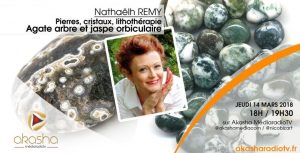 Nathaëlh Remy | Agate d’arbre et jaspe orbiculaire